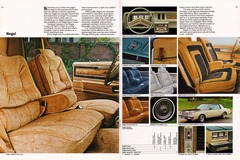 1980 Buick Full Line Prestige-28-29.jpg